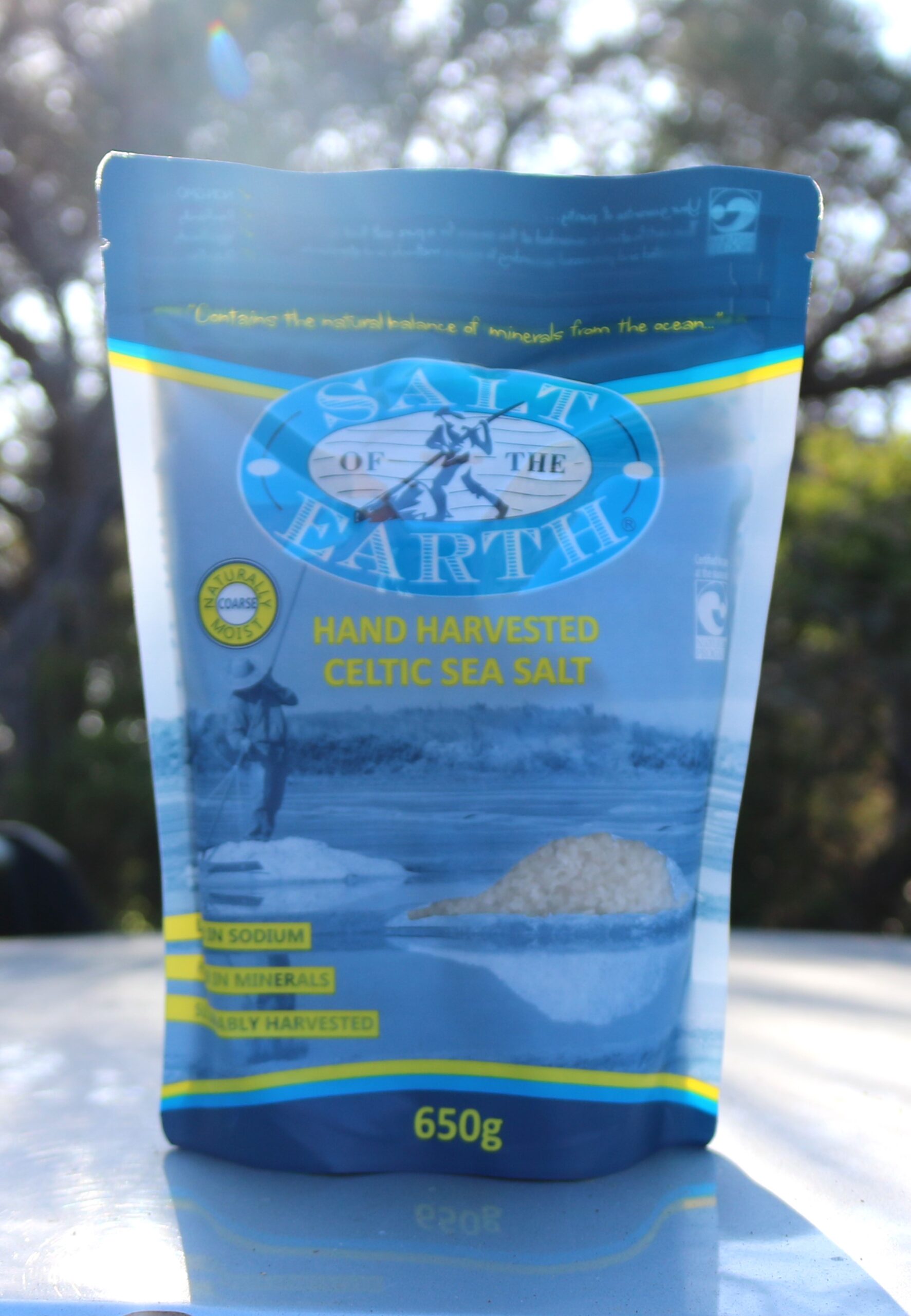 Front view of a 650g bag of Salt of the Earth brand Celtic Sea Salt, labeled "Hand Harvested Celtic Sea Salt." The package design includes an image of a traditional salt harvester, a visible pile of coarse salt crystals, and mentions of key features like "Naturally Moist," "Low in Sodium," and "Rich in Minerals." The photo is taken outdoors with a natural, sunlit background of trees.