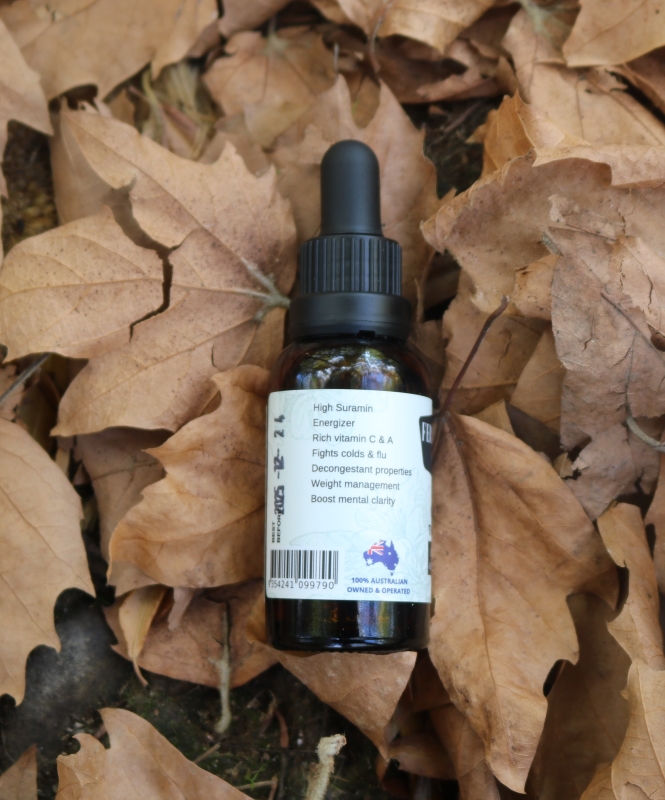 Pine needle Tincture (30ml) - Image 3