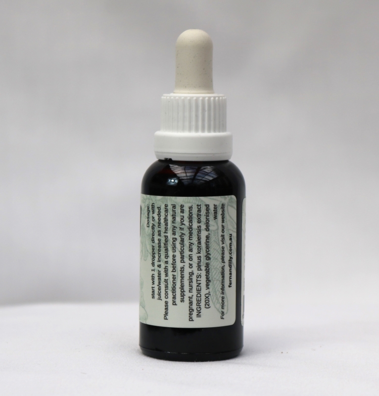 Pine needle Tincture (30ml) - Image 5