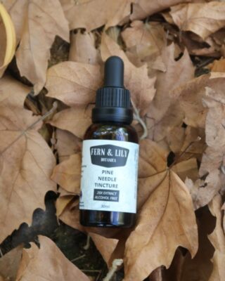 "30ml amber glass bottle labeled 'Pine Needle Tincture' with dropper cap, placed beside fresh green pine needles."